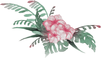 soave deco summer  tropical pink green - δωρεάν png