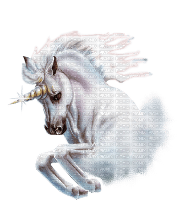 unicorn licorne - ilmainen png