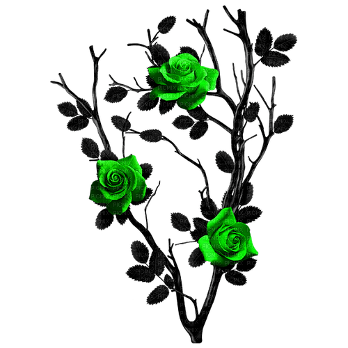 Gothic.Roses.Black.Green - PNG gratuit