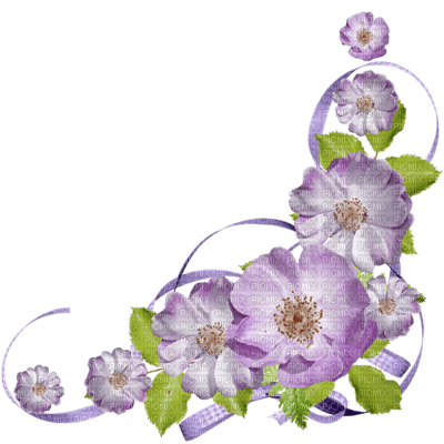 minou lila flower corner - PNG gratuit