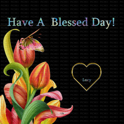 Have A Bless Day - 免费动画 GIF
