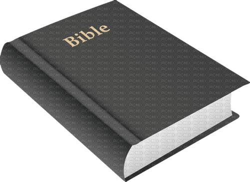 Book. Bible. Leila - Free PNG