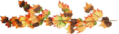 leaves branch autumn kikkapink - PNG gratuit