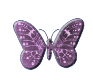 Butterfly - безплатен png
