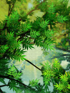 пейзажгуля treeGS - Бесплатный анимированный гифка