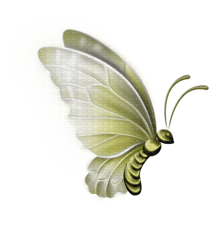 Schmetterling butterfly - besplatni png