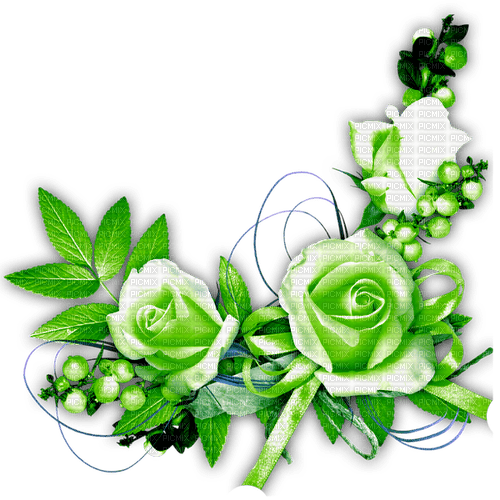 Roses green - png ฟรี