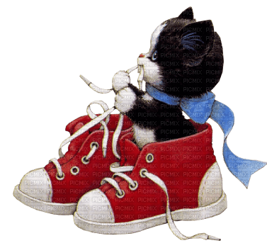 Chaton chaussures - gratis png