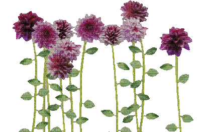 Glitter-Purple Flowers. - Gratis geanimeerde GIF