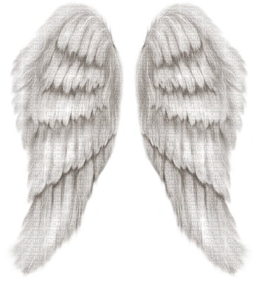 Kaz_Creations Deco Wings - zadarmo png