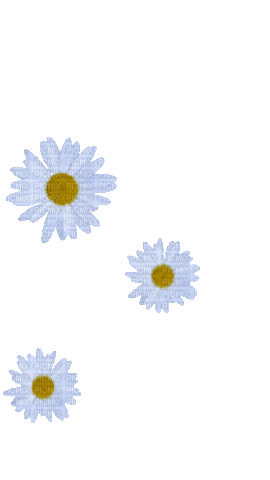 falling daisies - GIF animate gratis