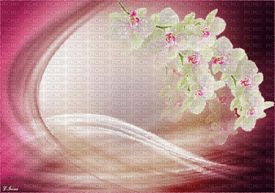 ani-bg-blommor-blomma - Free animated GIF