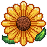 sunflower - Ilmainen animoitu GIF