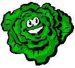 legume salade - Zdarma animovaný GIF
