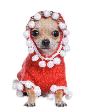 Dog, Hund, Weihnachten - png ฟรี