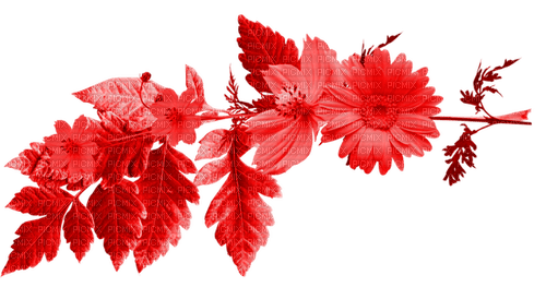 Branch.Leaves.Flowers.Red - PNG gratuit