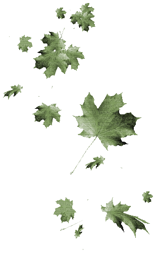 Fallende Blätter - Besplatni animirani GIF