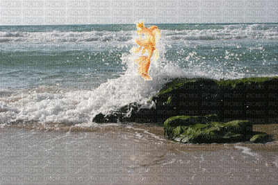 золотая рыбка - 免费动画 GIF