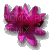 Fleur violette - GIF animé gratuit