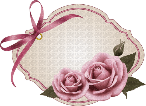 kort-rosa-rosor-blomma---card-pink-flowers - png gratis