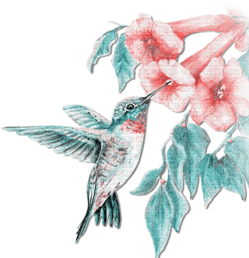 soave deco branch flowers summer spring bird - PNG gratuit
