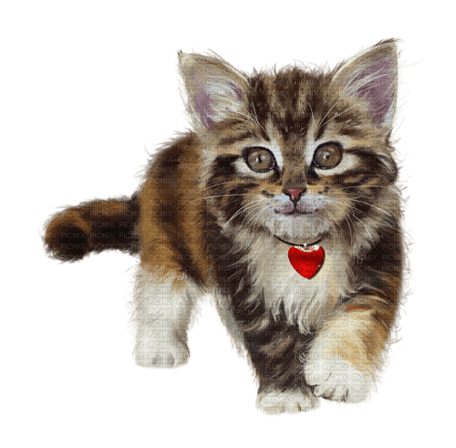 valentine cat by nataliplus - PNG gratuit