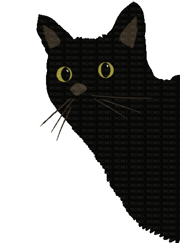 Black Cat - GIF animado gratis