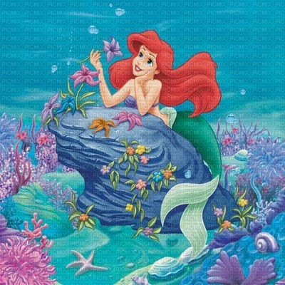 arielle little mermaid - bezmaksas png