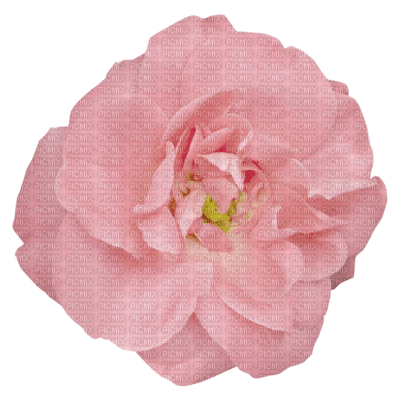 Kaz_Creations Pink Deco Flower Colours - zadarmo png
