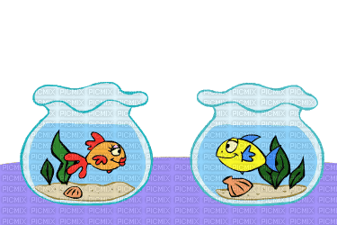 fish fisch poisson fun kiss room love glass cartoon tube  anime animated animation gif - Besplatni animirani GIF
