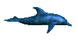 dolphin - Безплатен анимиран GIF