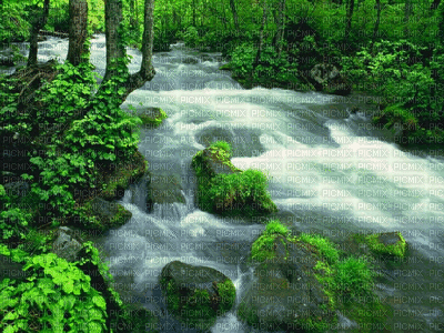 waterfall  by nataliplus - Δωρεάν κινούμενο GIF