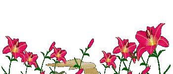 flowers - Kostenlose animierte GIFs