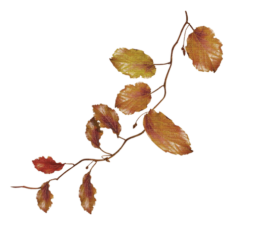 deco leaves autumn kikkapink - 無料png