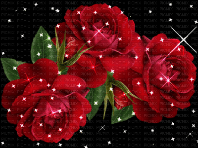 roses - Darmowy animowany GIF