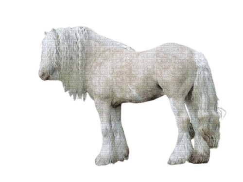 beautiful horse 2 - 免费PNG