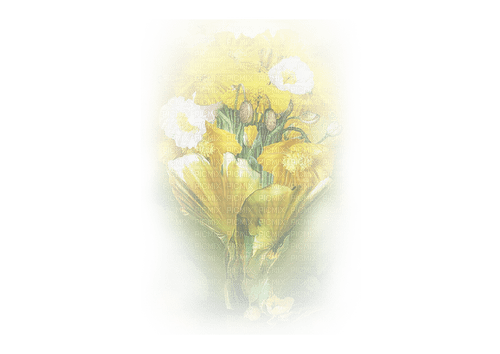 blomma-gul---flower-yellow - png gratuito