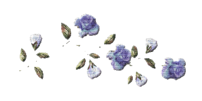 fleurs - Nemokamas animacinis gif