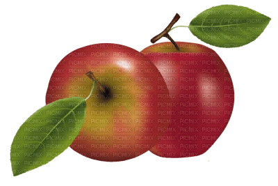 apples - png grátis
