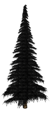 Kaz_Creations Trees Tree Colours - δωρεάν png