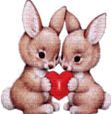 bunny love gif