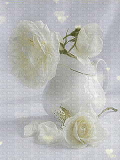 MMarcia gif rosas brancas borboleta - GIF animado gratis