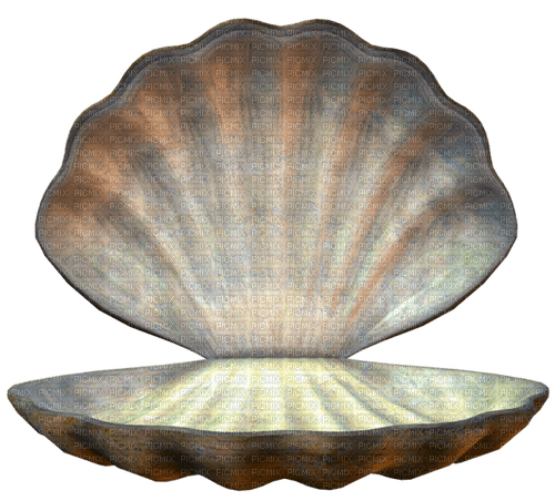 oyster Bb2 - zdarma png