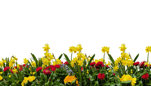 Jardín de flores y plantas - png gratis