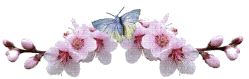 Frühling, Blumen - Bezmaksas animēts GIF