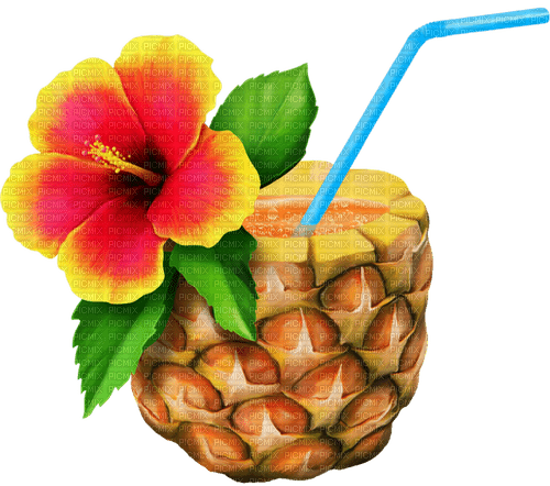 Pineapple juice - бесплатно png
