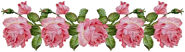 roses - 免费动画 GIF