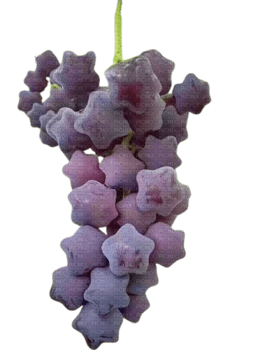 star shaped grapes - zdarma png