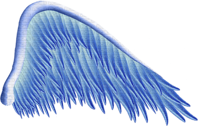 wings katrin - фрее пнг