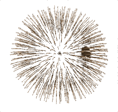 fireworks bp - GIF animado grátis